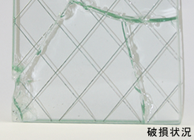 パイロクリアの破片　フロート板ガラスの破片